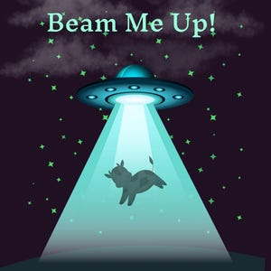 Exclusief Beam Me Up Elves-doos | Beam Me Up Elves Knutseldoos | Ambachtelijke harsdoos | Beam Me Up buitenaards thema | Alien ontwerpmal | Ambachtelijke levering hars