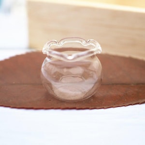 Miniatur Glasfischglas (2 Stück) | Miniaturfisch-Projekte | Glasfischglas | Miniatur-Wasser-Terrarium-Projekte | Miniatur Glas Schale