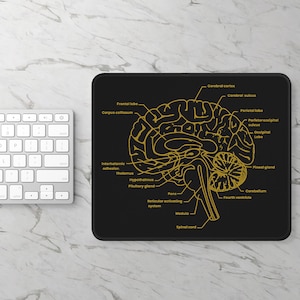 Może przedstawiać: Czarna podkładka pod mysz z złotym schematem ludzkiego mózgu, z etykietami takimi jak 'płat czołowy' i 'móżdżek'. Podkładka jest prostokątna z zaokrąglonymi rogami. Częściowo widoczna jest biała klawiatura.