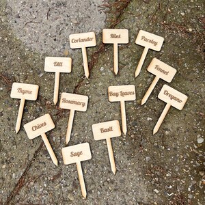 May include: A selection of wooden herb garden markers, each engraved with a different herb name such as "Mint," "Parsley," and "Oregano." The markers feature a rectangular label on a pointed stake, ideal for identifying herbs in a garden.