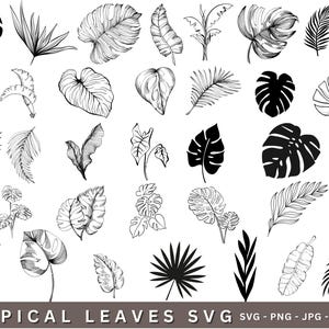Tropical Floral svg,Tropical leave svg bundle,monstera leaf svg,Leaf Clipart,Leaf Svg cut files for Cricut,Jungle leave svg digital download