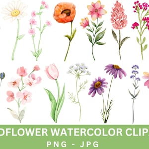 Wildflowers Clipart Png,Wild Flowers,Printable Watercolor clipart,Summer Floral nature,Boho Floral Clipart,Digital download,Commercial Use