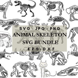 Dierlijk skelet SVG-bundel, hoge kwaliteit dierlijk skelet SVG-bundel, dierlijke botten svg, anatomie svg, botafdruk, dierlijk skeletbestand voor Cricut