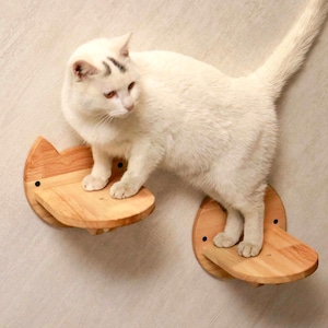 May include: A white cat sits on a wooden cat shelf attached to a wall. The shelf is shaped like a fish and has a rounded edge. The cat is looking down at the shelf below it.