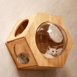 Cat Wall Furniture,Cat Wall Bed,Large Cat Shelf with Spaceship,Cat Gift, Cat Hammock,Cat Play Cat Toy Cat Gym | Rubberwood | Petomg