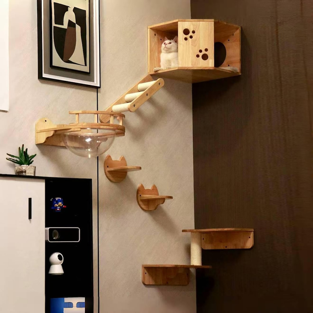 View of Wall-mounted Rubberwood Cat Climbing Shelves, Modern Cat Furniture Set ...