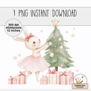 Rosa Ballerina-Kaninchen-Weihnachtssublimations-Design | PNG Sofort-Download | Kommerzielle Lizenz Clip Art | Weihnachtssack Weihnachtsverzierung