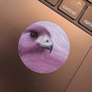 Pegatina de halcón morado, arte de aves, calcomanía natural, diseño de aves para portátil, idea de regalo perfecta para amantes de las aves, accesorio de arte natural, material de vinilo premium