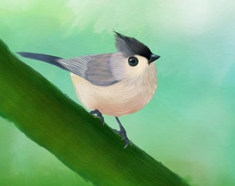 Tufted Titmouse Print, Bird Wall Art, Nature Lover, Birthday, Baby Shower Gift