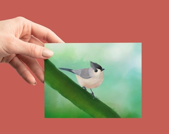 Bird Greeting Card | Tufted Titmouse | Personalized Birthday & Thank You Card
