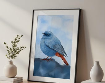 May include: A framed art print featuring a blue bird with a reddish-orange tail perched on a dark blue rock against a light blue sky. The bird has a rounded body, dark eyes, and a small beak. The artwork is enclosed in a thin black frame.