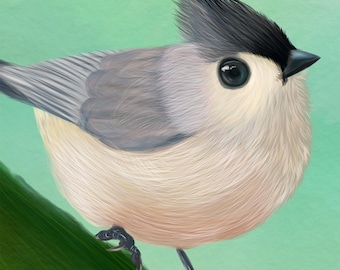 Tufted Titmouse Print, Archival Giclée Bird Wall Art, Nature Lover Gift