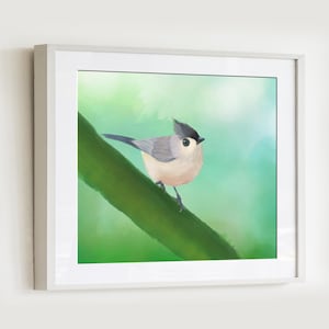Tufted Titmouse Print Wildlife Art Wall Display Bird Lover Home Decor Kitchen Accent Nature Scene Room Art Nursery Display Bird Gift Home