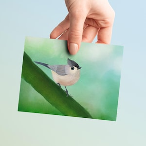 Cartão de felicitações Tufted Titmouse Design de pássaro bonito Cartão de aniversário Design de amante de pássaros Estoque premium Pequeno pássaro Presente especial Presente de mãe Obrigado
