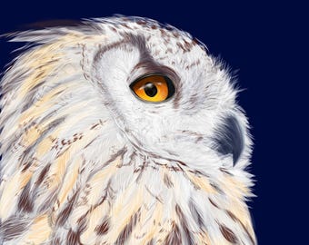 May include: A detailed digital illustration of an owl head in profile, featuring white and tan feathers with dark brown markings. The owl has a piercing, bright orange eye and a dark, curved beak, set against a solid, deep navy blue background.