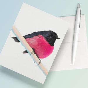Rosa Rotkehlchen Geburtstagskarte Vogelliebhaber Blanko Hinweis Premium Lager Rosa Vogel Lehrer Wertschätzung Besonderes Geschenk Mama Geschenk Danke Naturliebhaber