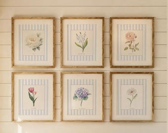 Curated Set of 6 Watercolor Flower Cottage Garden Prints Farmhouse Wall Decor Striped Botanical Illustration  Nancy Meyers Style Artwork