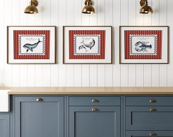 Lobster Wall Art Aesthetic Gallery Print Set of 3 Kitchen Art Coastal Wall Art Beach House Print Kids Room Coastal Decor Trendy Sardines Art