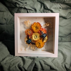 Może przedstawiać: Biała, oprawiona rama z cieniowaną kompozycją z suszonych kwiatów i dwóch niebiesko-czarnych pszczół. Kwiaty są żółte, pomarańczowe i czerwone.