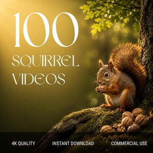 May include: A digital graphic featuring a brown squirrel holding a nut on a mossy tree branch. The text reads 100 SQUIRREL VIDEOS in large white font, with 4K QUALITY, INSTANT DOWNLOAD, and COMMERCIAL USE printed in smaller text at the bottom.