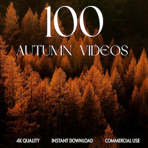May include: Image featuring a forest of orange and brown trees, with the text "100 AUTUMN VIDEOS" in white. Below the text are the words "4K QUALITY", "INSTANT DOWNLOAD", and "COMMERCIAL USE".