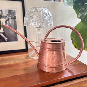 May include: A copper watering can with a long, slender spout and a curved handle. The body of the watering can features a subtle hammered texture around the base, providing a metallic finish that reflects light across its rounded surface.