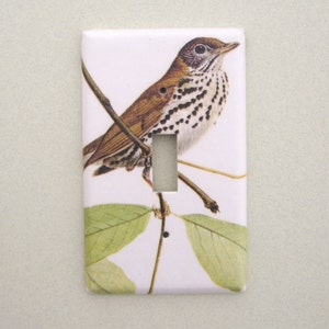 May include: A white ceramic light switch cover with a brown and white bird perched on a branch with green leaves. The bird has a speckled breast and a long tail.