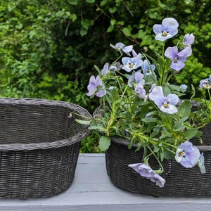 May include: Two dark brown wicker planters, one empty and one filled with light blue and purple pansies. The planters are oval-shaped and sit on a light gray surface, with green foliage in the background.