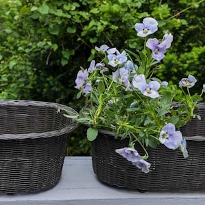May include: Two dark brown wicker planters, one empty and one filled with light purple and yellow pansies. The planters are on a gray surface with a green leafy background.