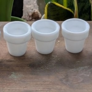May include: Five small, white, ceramic pots arranged in a row. Each pot has a rounded top and a cylindrical body. A silver coin is next to the pots. The pots are on a wooden surface.