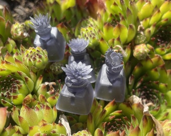 Succulent keycaps, translucent fits MX Cherry switches