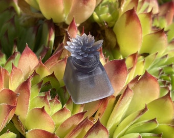 Succulent keycap number 1, translucent fits MX Cherry switches