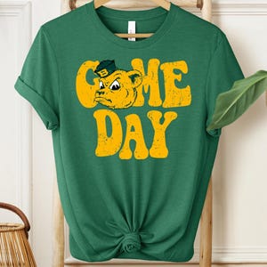 Baylor Bears, Team spirit, bears team spirit, Sic Em bears shirt