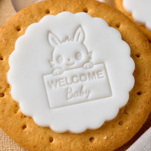 9 Design Baby Cookie Stamp – Personalized Fondant Embosser with Optional Cutter for Baby Showers, Gifts & Home Baking, Custom Baby Name