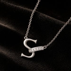 Pu&ograve; includere: Una collana color argento con un ciondolo a forma di lettera S. La lettera &egrave; impreziosita da una barra orizzontale incastonata con sei piccole pietre rotonde e trasparenti. Il ciondolo &egrave; fissato a una sottile catenina color argento a maglie.
