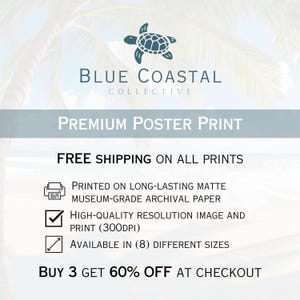 a poster with a picture of a turtle on the beach