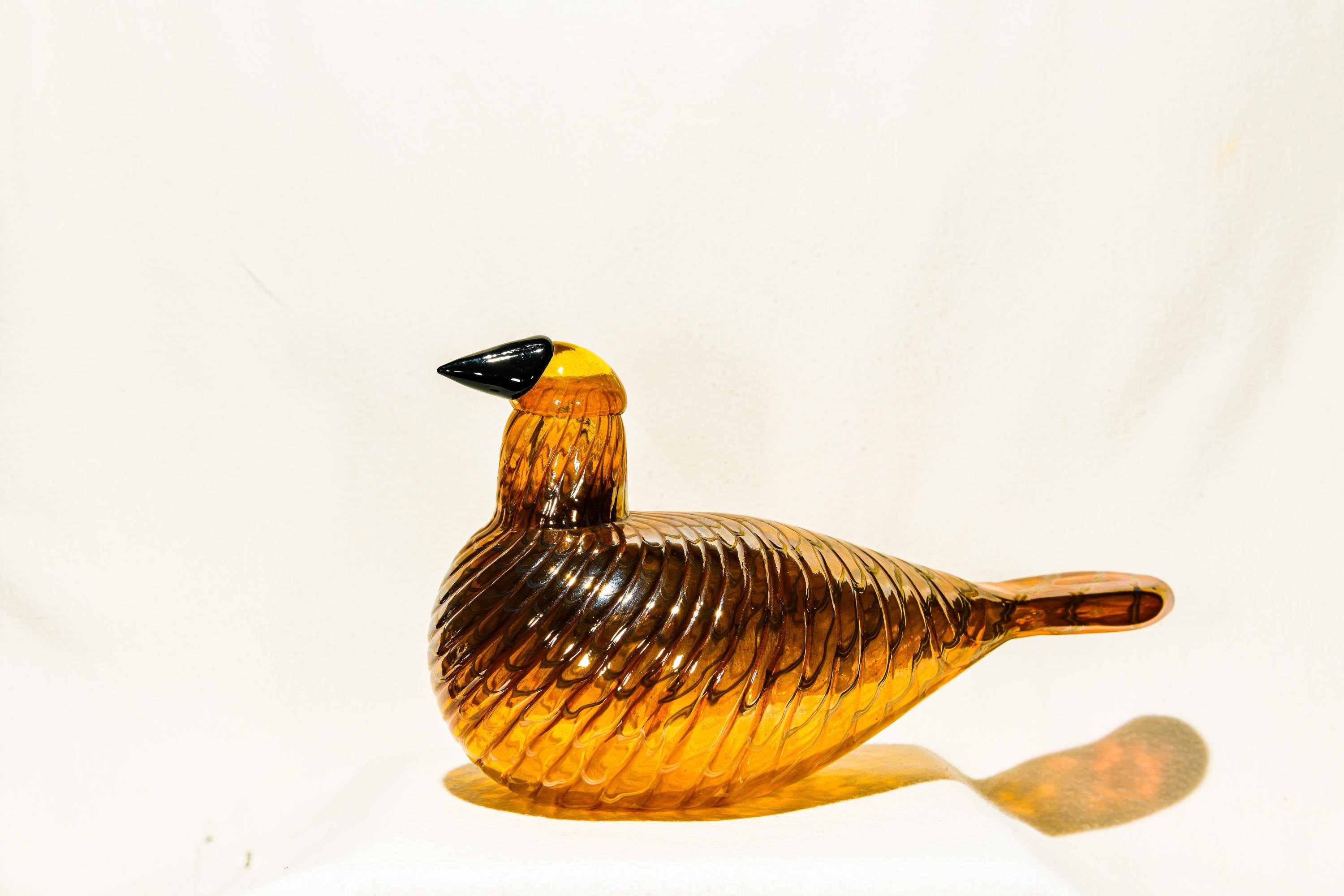 イッタラ/ヌータヤルヴィ バード Karelian Golden Cuckoo