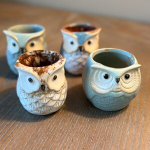 May include: Four ceramic owl-shaped planters in shades of blue, white, and brown. The planters have detailed facial features and textured surfaces. The owl planters are arranged on a wooden surface.
