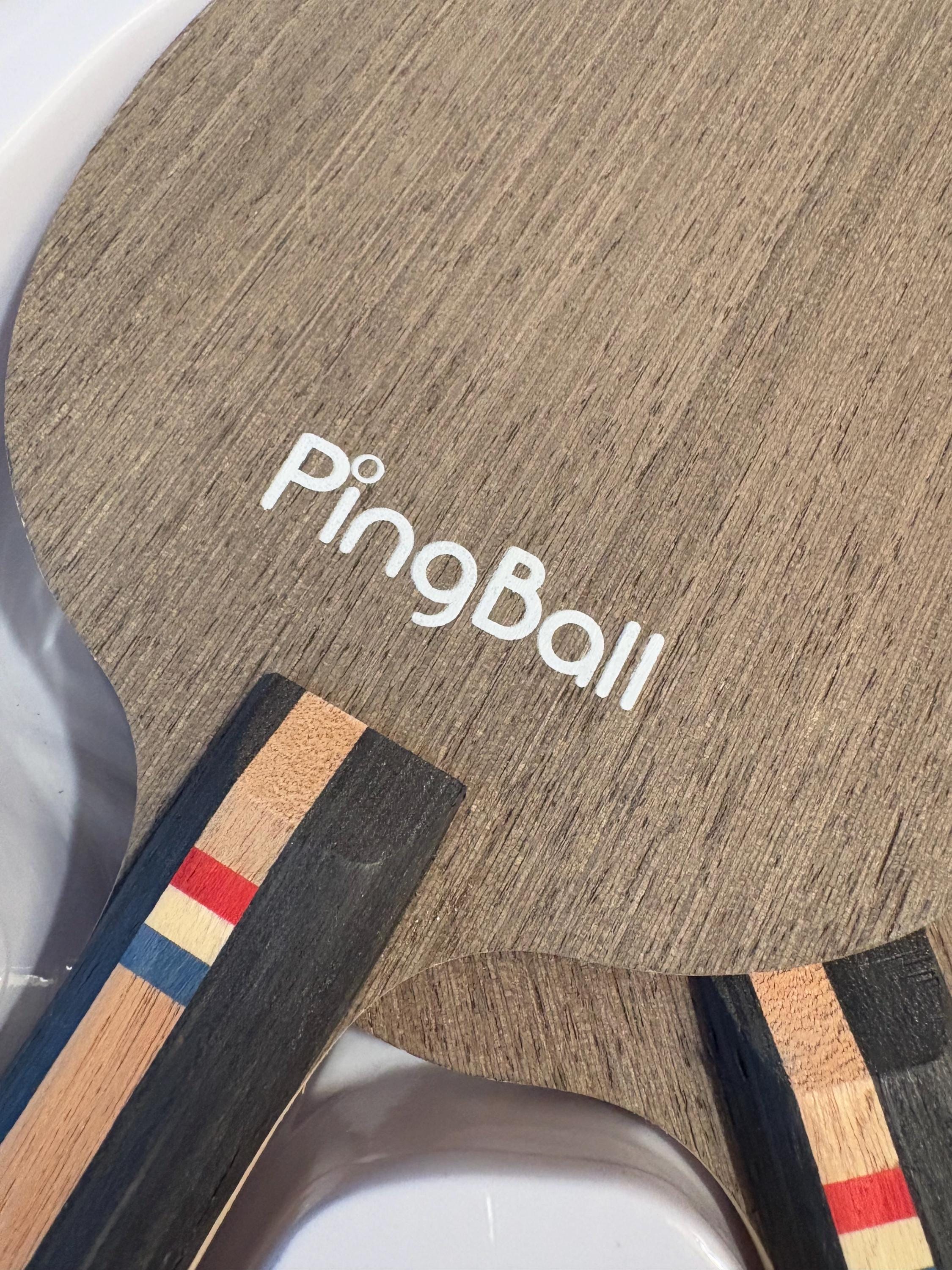 Ping Ball Table Top Tennis Set Game | Ping Ball Set | Ping Pong Paddle ...
