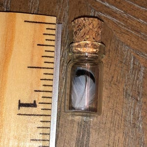 May include: A small glass bottle with a cork stopper containing a single white feather with black markings. The bottle is sitting on a wooden surface.