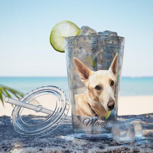 Copo personalizado para animais de estimação, copo térmico com nome personalizado e tampa, presente para amantes de cães e gatos, utensílios para bebidas com design de animais fofos, viagem de café