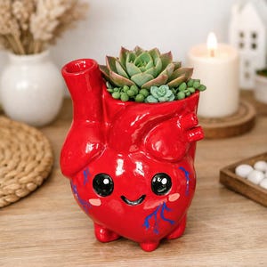 Handmade Anatomical Heart Planter – Whimsical Ceramic Pot for Succulents, Air Plants