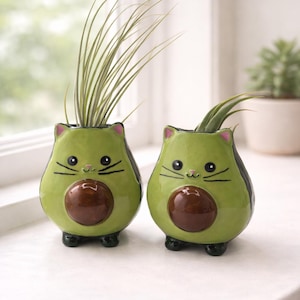 Cache-pot Avogato Petit– Pot Chat-Avocat Fait Main | Cache-pot Original pour Succulentes| Cadeau Drôle pour Amoureux des Chats et des Plante
