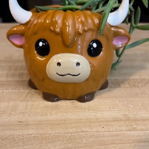 Peut inclure: Un pot en céramique brun en forme de vache des Highlands avec des cornes blanches et un visage mignon. Le pot a une petite plante qui pousse au sommet.