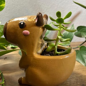 Capybara Planter: Unique Succulent & Air Plant Pot, Office Decor