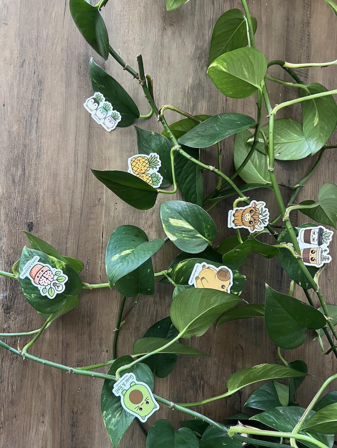 Planter Stickers 2x2