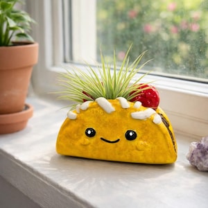 Taco Planter (SMALL) Handmade: Unique One Taco pot for Air Plants