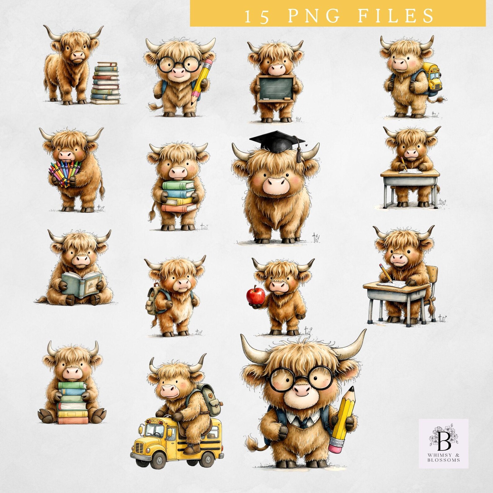 Highland Cow School Clipart PNG, Cute Highland Cow Clipart, Back to ...