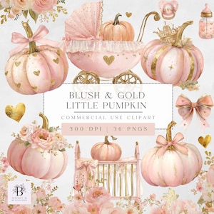 May include: Watercolor clipart set featuring pink pumpkins with gold accents, bows, and a baby carriage. The text reads "Blush & Gold Little Pumpkin" and "Commercial Use Clipart". Includes 36 PNGs.