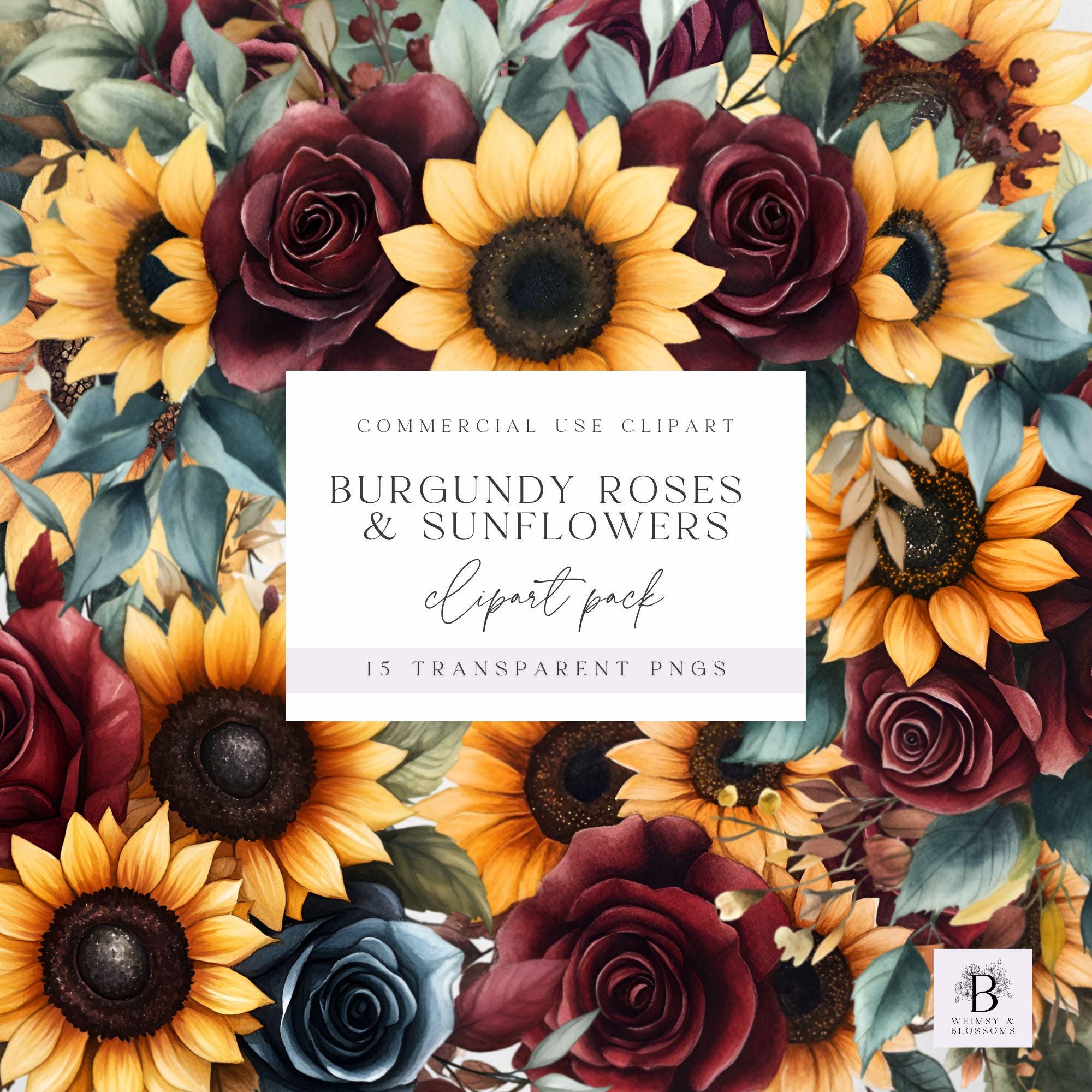 Sunflower And Burgundy Roses Clipart -Sunflower Florals Clipart Pack - Yellow and Burgundy - Commercial Use Graphic - Transparent Background